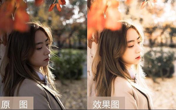 1626248713395556.jpg 1.jpg