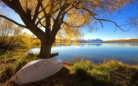 1627041251175054.jpg 1.jpg