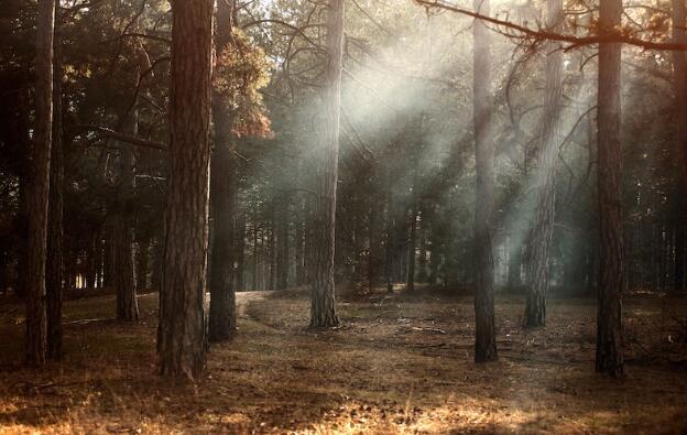 1628670909938402.jpg 1.jpg