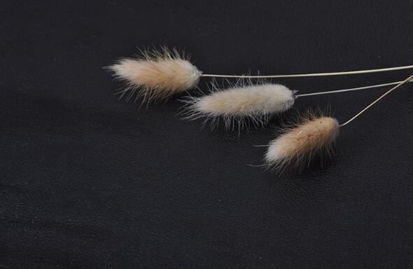 1629185861762258.jpg 1.jpg