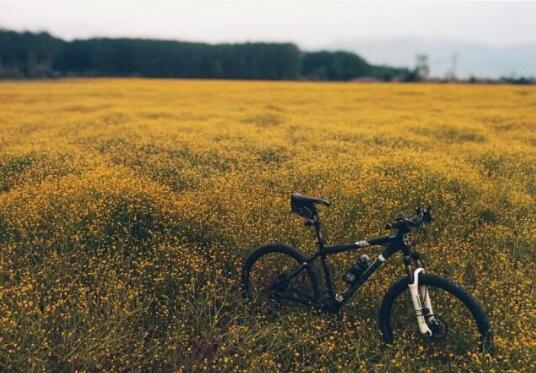 1629358434563716.jpg 1.jpg