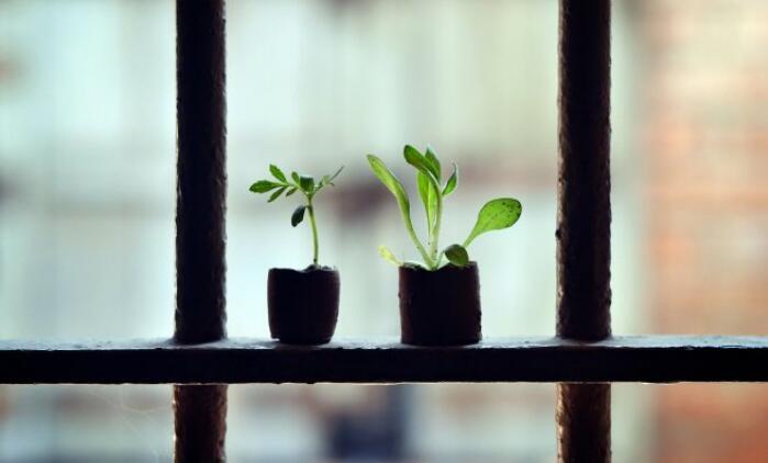 1632467660870127.jpg 1.jpg