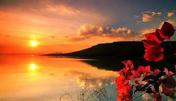 1654845169753635.jpg 1.jpg