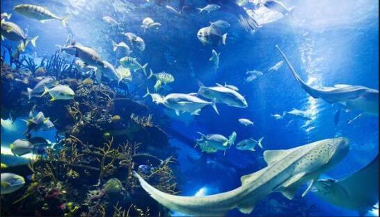 1655453573255233.jpg 1.jpg