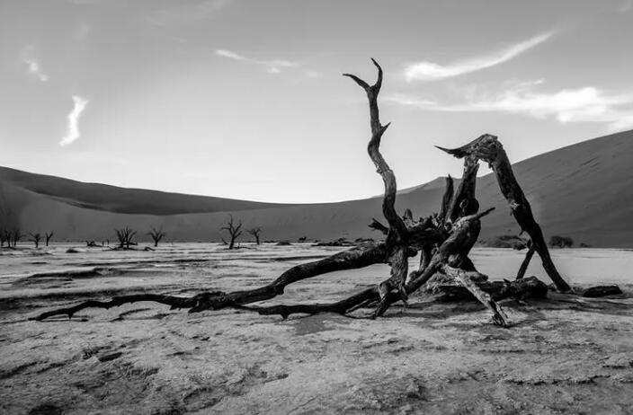 1656064613563595.jpg 1.jpg